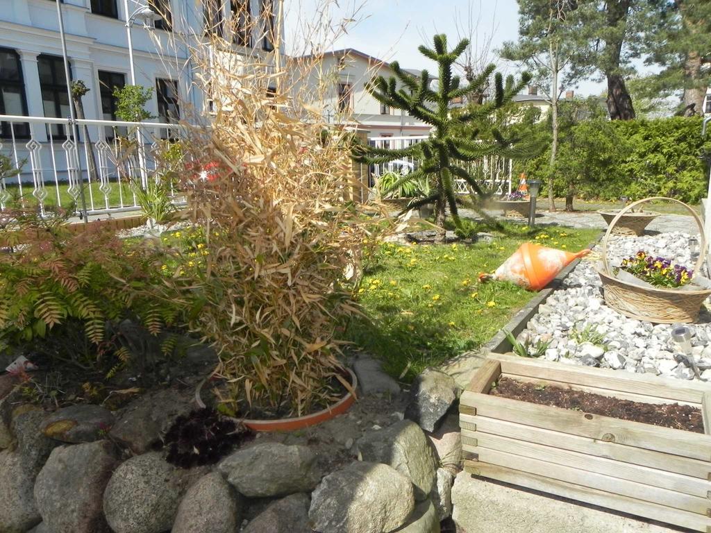 Strandnahe Ferienwohnungen Heringsdorf  Eksteriør billede